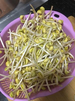 又一道费米饭?的菜「黄豆芽炒粉条」好吃?的做法 步骤1