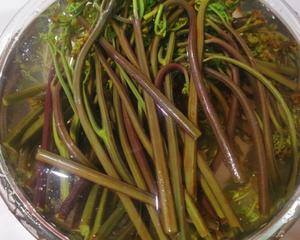 春天的味道之蕨菜☞蕨菜炒腊肉凉拌蕨菜 涮火锅的做法 步骤3