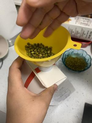 牛奶盒泡发豆芽的做法 步骤4