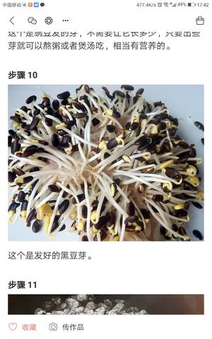 砂锅发豆芽的做法 步骤9