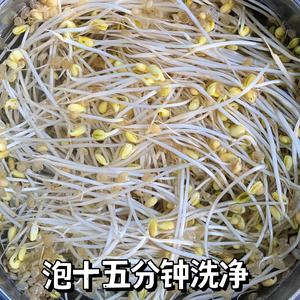 五分钟的家常菜｜爆炒黄豆芽的做法 步骤2