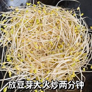 五分钟的家常菜｜爆炒黄豆芽的做法 步骤4