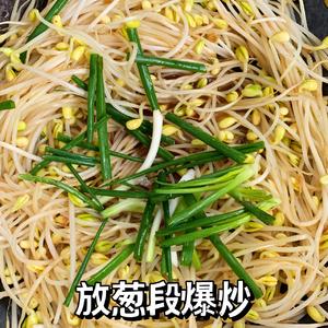 五分钟的家常菜｜爆炒黄豆芽的做法 步骤8
