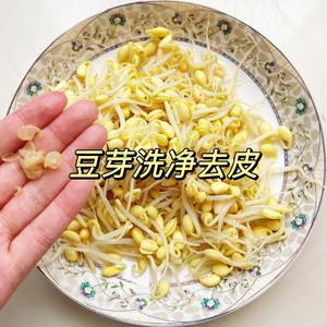 豆芽粉丝的做法 步骤1