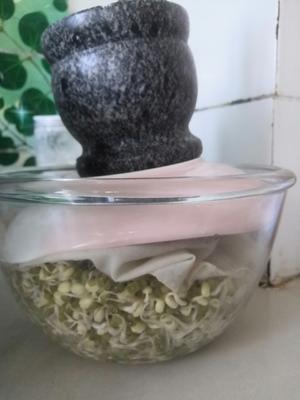 发绿豆芽 凉拌绿豆芽的做法 步骤7