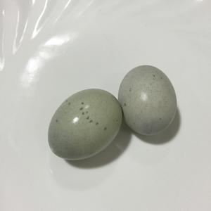 上汤皇帝菜（茼蒿）的做法 步骤4