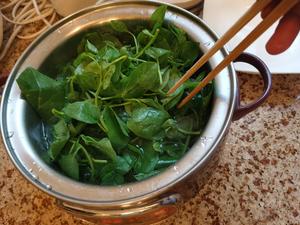 凉拌软江叶（木耳菜，潺菜，落葵）木耳的做法 步骤5