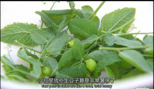 【吉米私房菜】青豆酱吐司的做法 步骤6