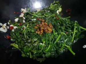 快手菜之---㊙️老干妈水豆豉炒茼蒿菜的做法 步骤6