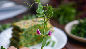 野菜蛋饼的做法 步骤1