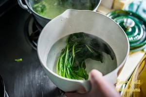 昨日的美食——白芝麻豆腐拌菜的做法 步骤11