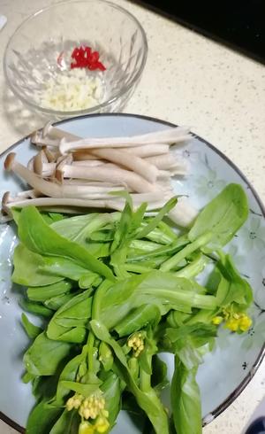 捞汁菌菇灼菜心的做法 步骤1