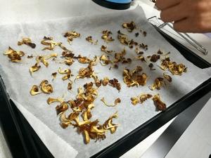 猴头菇饼干-消耗猴头菇的终极大法的做法 步骤4