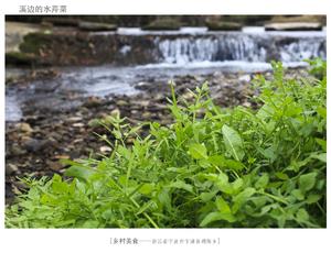 鳗鲞炒水芹的做法 步骤1