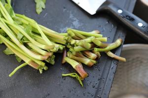 미나리무침韩式凉拌水芹菜东北下饭小菜的做法 步骤4