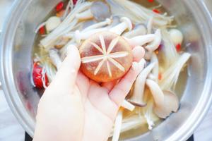 菌汤火锅·营养丰富味道鲜美的滋补锅的做法 步骤11