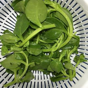 穿心莲拌豆腐的做法 步骤4