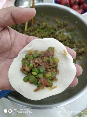 蒜薹馅饺子的做法 步骤6