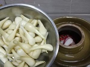 四川老坛泡菜(持续更新)的做法 步骤7