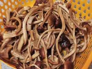 茶树菇炖鸡的做法 步骤7