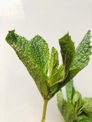香花菜煎鸡蛋的做法 步骤1