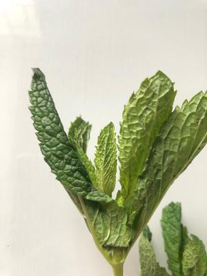 香花菜煎鸡蛋的做法 步骤2