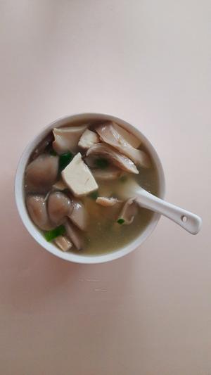 平菇豆腐汤??的做法 步骤7