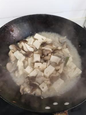 超级鲜美的平菇烧豆腐的做法 步骤8