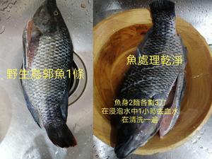 味噌豆腐炖鮮魚*烏郭魚的做法 步骤1