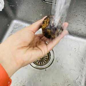 松茸的清洗和保存的做法 步骤9
