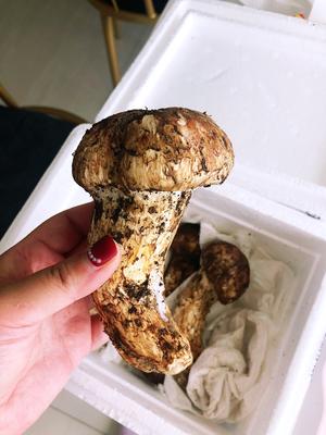 香喷喷的香煎松茸的做法 步骤1