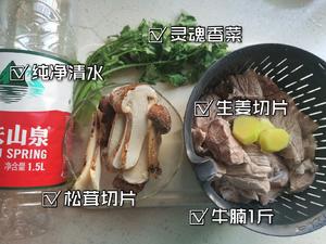 一份清爽鲜香的秋日滋补～～清炖牛腩松茸汤的做法 步骤1