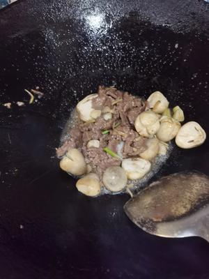 家常菜～～～草菇炒牛肉的做法 步骤5