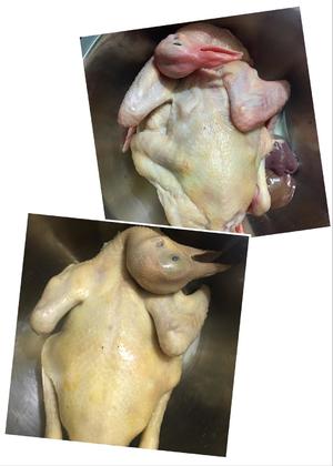 虫草花草菇乳鸽汤的做法 步骤1