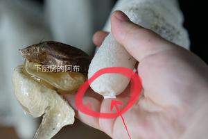 鲜竹荪食用指南的做法 步骤6