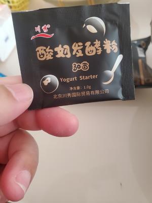 超浓酸奶奶粉版的做法 步骤2