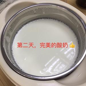 自制酸奶 奶粉制作甜味酸奶 简单不失败的做法 步骤8