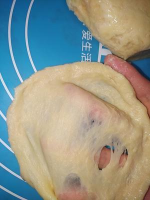 手揉手套膜 做红豆吐司 烘焙小白水合法 新手成功揉出来了（新良高筋面粉）奶粉代替牛奶的做法 步骤14