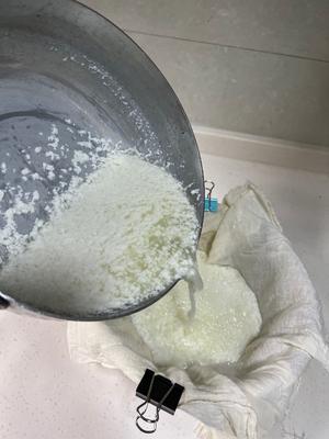 自制马苏里拉奶酪 Mozzarella的做法 步骤3