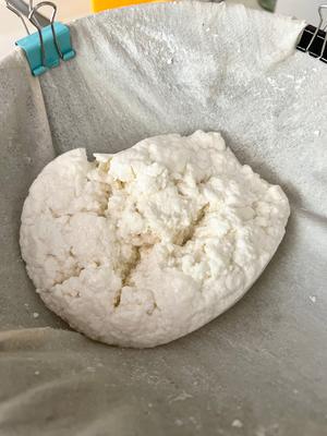 自制马苏里拉奶酪 Mozzarella的做法 步骤5