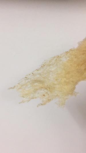 波兰种——最详细的状态攻略的做法 步骤47