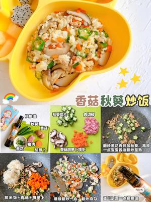 宝宝一岁半烩饭食谱教程的做法 步骤23