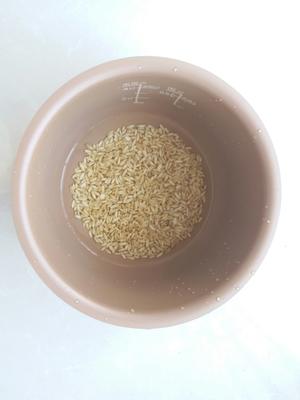 ?低脂高蛋白无油Q弹燕麦米鸡胸肉烩饭（减脂餐第64道）鸡肉第18种花样做法的做法 步骤14