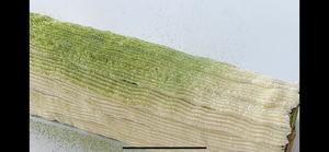 抹茶巧克力蛋糕卷的做法 步骤24