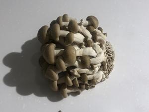 《昨日的美食》之蟹味菇味噌汤的做法 步骤2