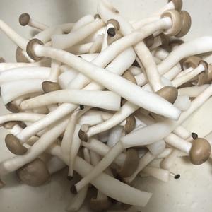 耗油红萝卜蟹味菇的做法 步骤2