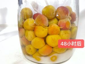 深夜食堂【梅干し】正宗梅干，非所谓的日式话梅的做法 步骤12