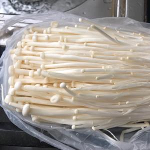花甲粉丝煲（附花甲吐沙妙方）的做法 步骤4