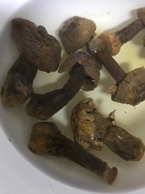 姬松茸小白菜冻豆腐面的做法 步骤1