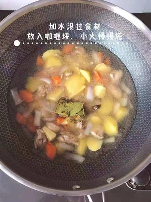 咖喱土豆鸡肉盖浇饭的做法 步骤4